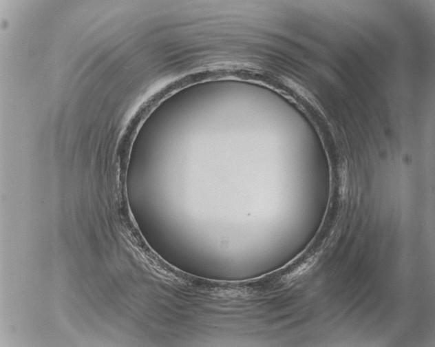 X0000053071021200508011934