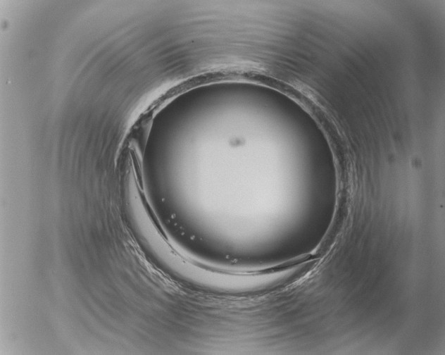 X0000053071022200508011934