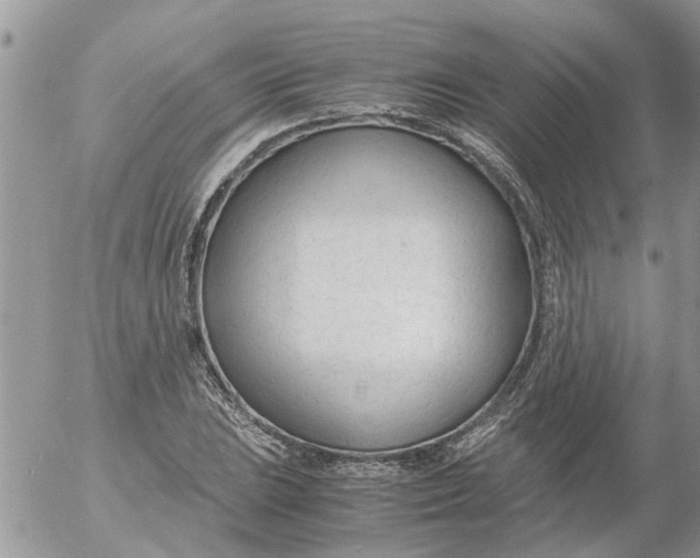 X0000053071023200508011934