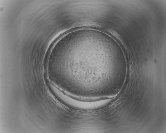 X0000053071024200508011934