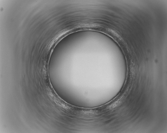 X0000053071025200508011934