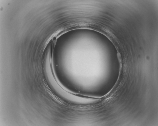 X0000053071026200508011934