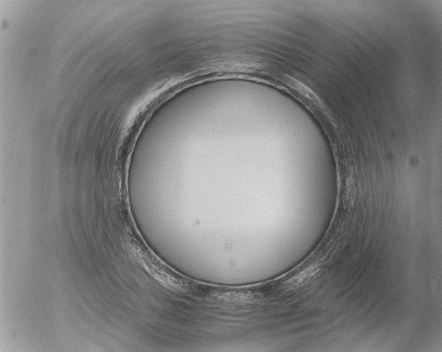 X0000053071027200508011934