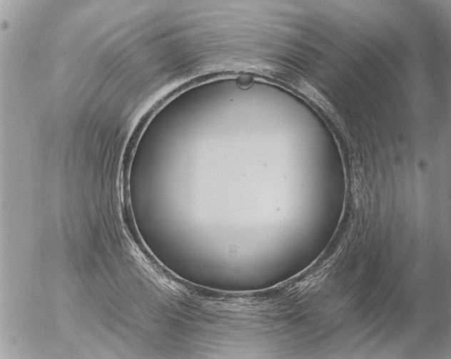 X0000053071028200508011934