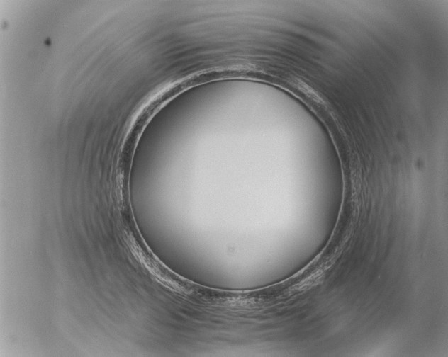 X0000053071029200508011934