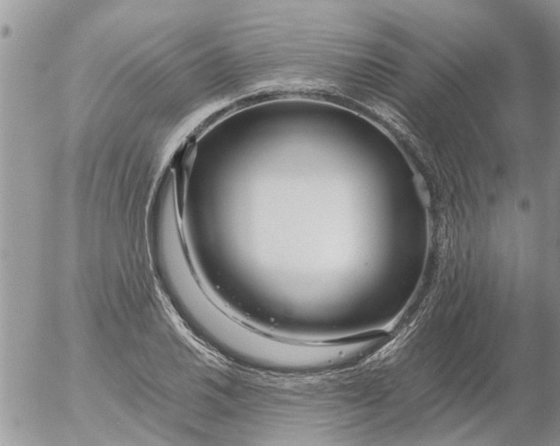 X0000053071030200508011934