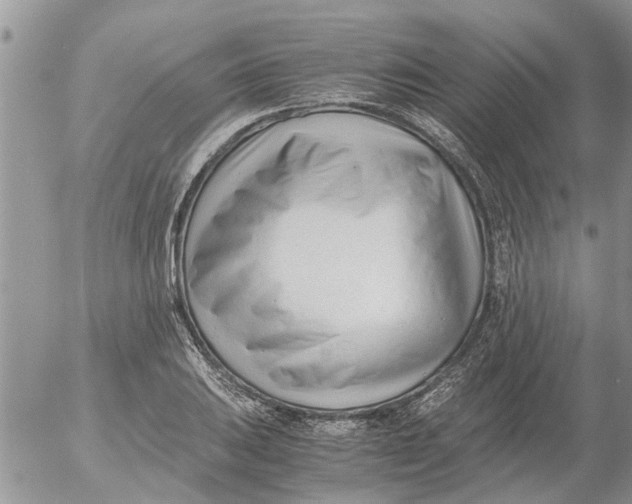 X0000053071031200508011934