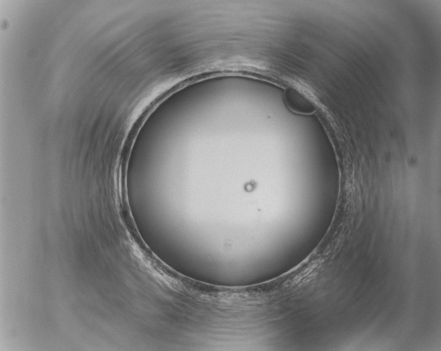 X0000053071032200508011935