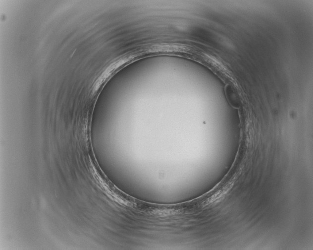 X0000053071033200508011935