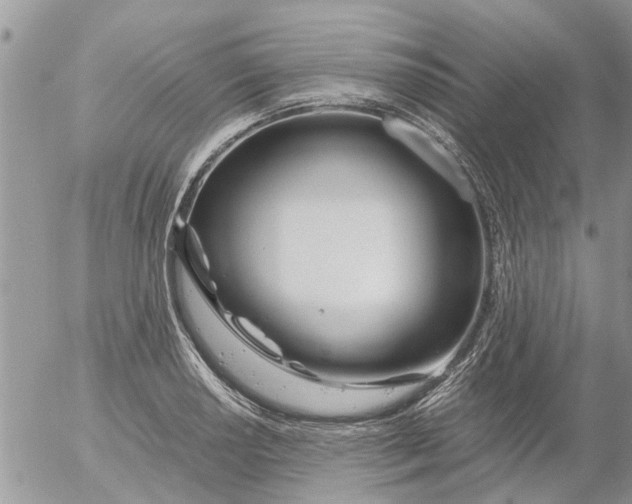 X0000053071034200508011935