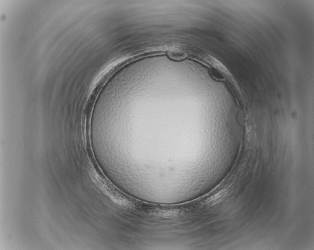 X0000053071035200508011935