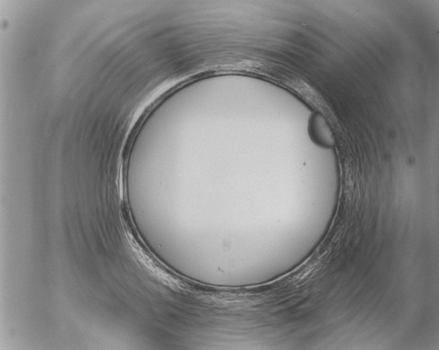 X0000053071036200508011935