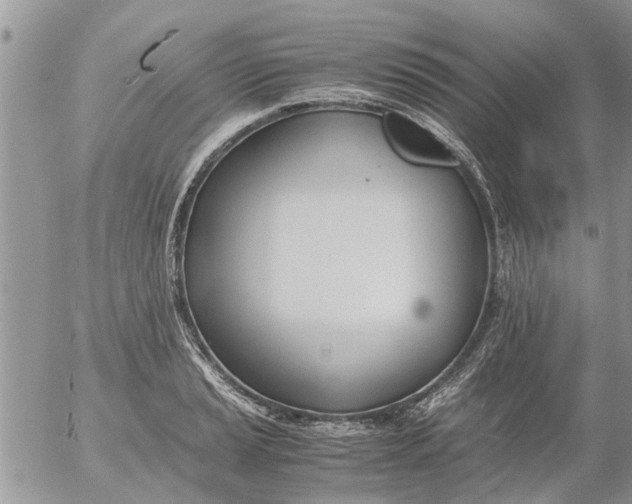 X0000053071037200508011935