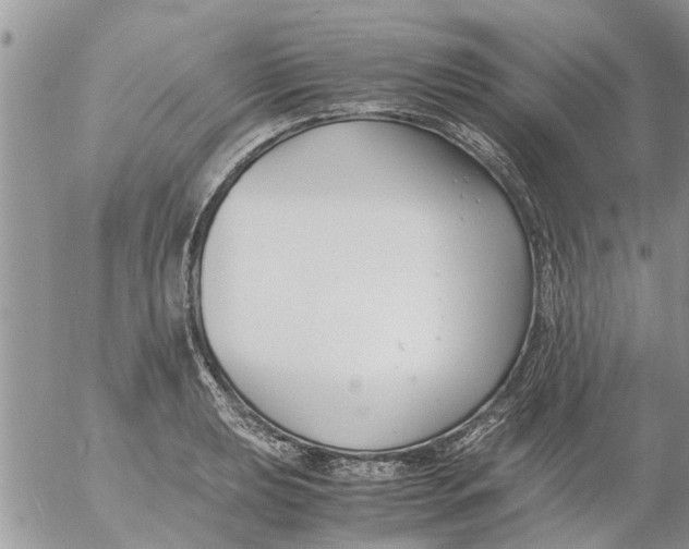 X0000053071039200508011935