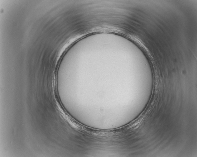 X0000053071040200508011935