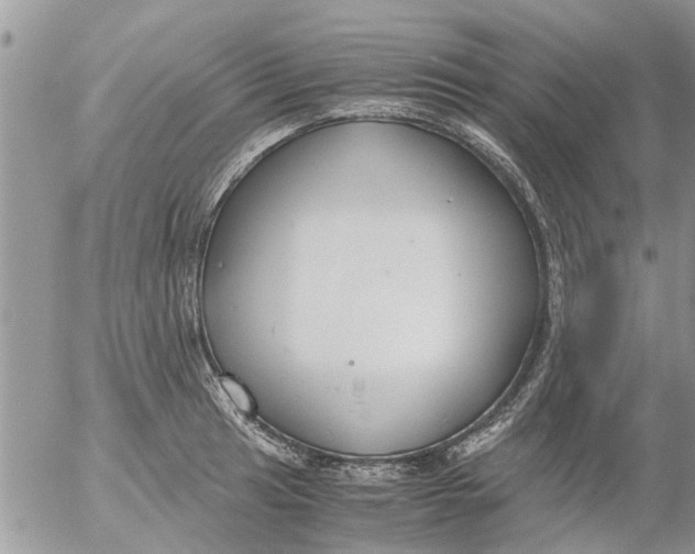 X0000053071041200508011935