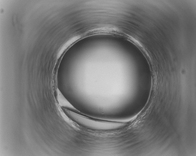 X0000053071042200508011935