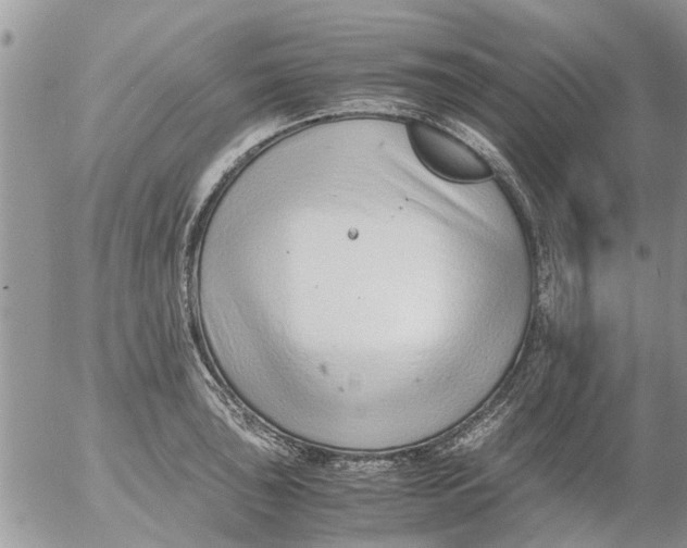 X0000053071043200508011935