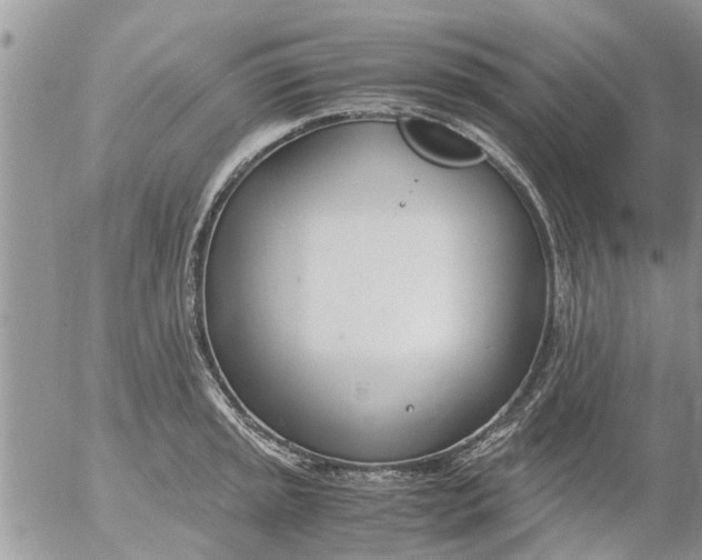 X0000053071045200508011935