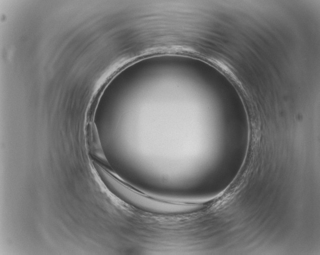 X0000053071046200508011935