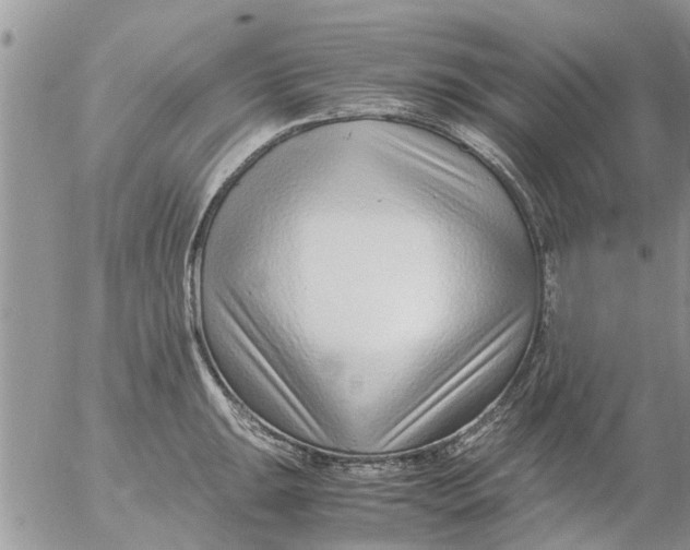 X0000053071047200508011935