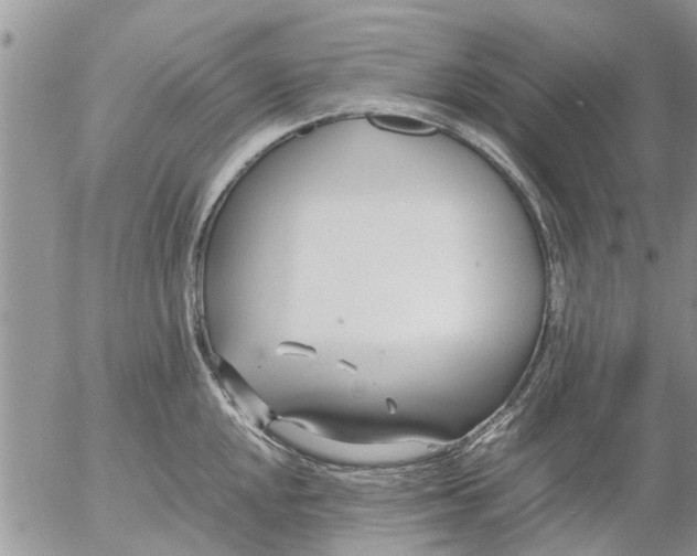 X0000053071048200508011935