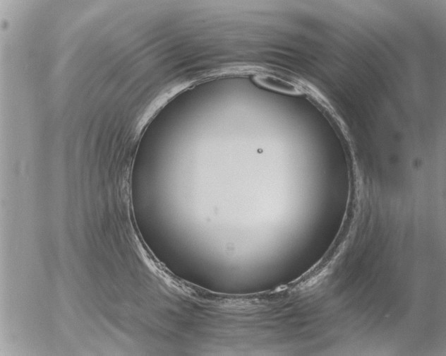 X0000053071049200508011935