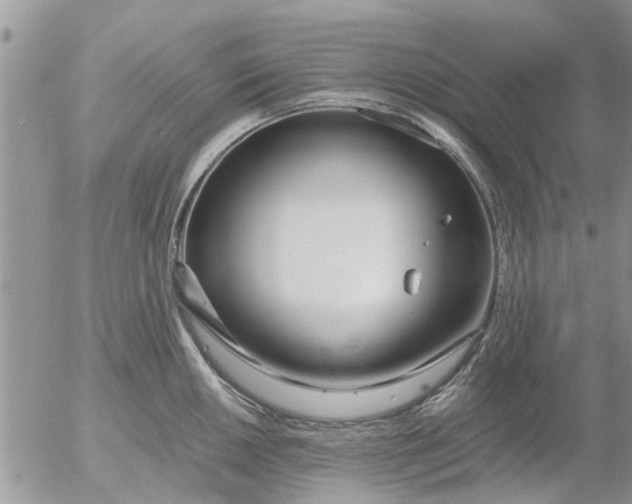 X0000053071050200508011935