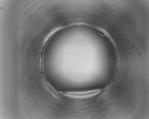 X0000053071051200508011935