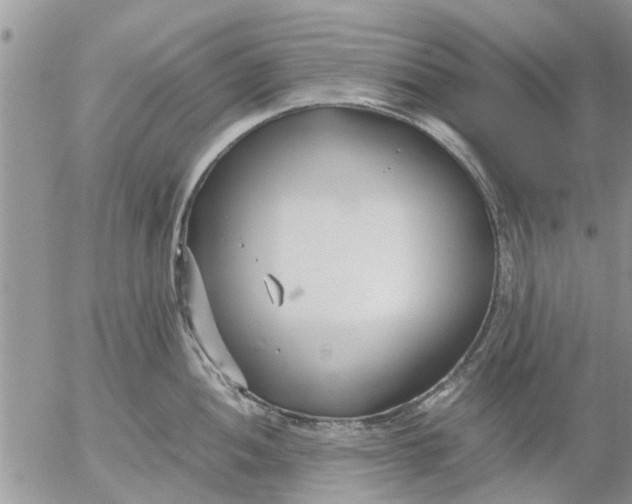 X0000053071052200508011935