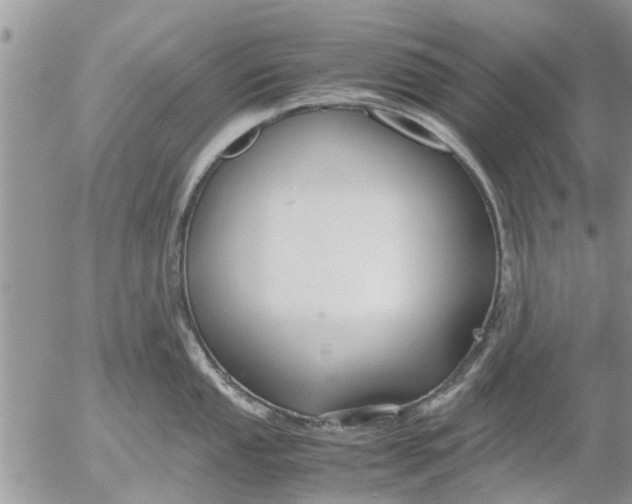 X0000053071053200508011935