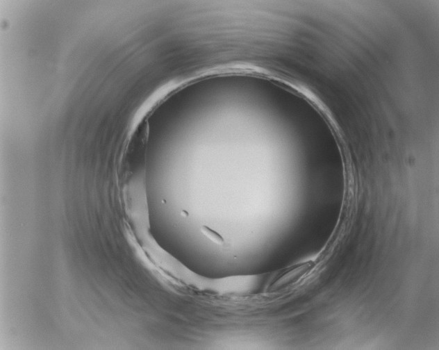 X0000053071054200508011935