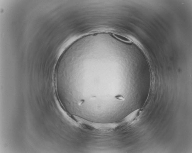 X0000053071055200508011935