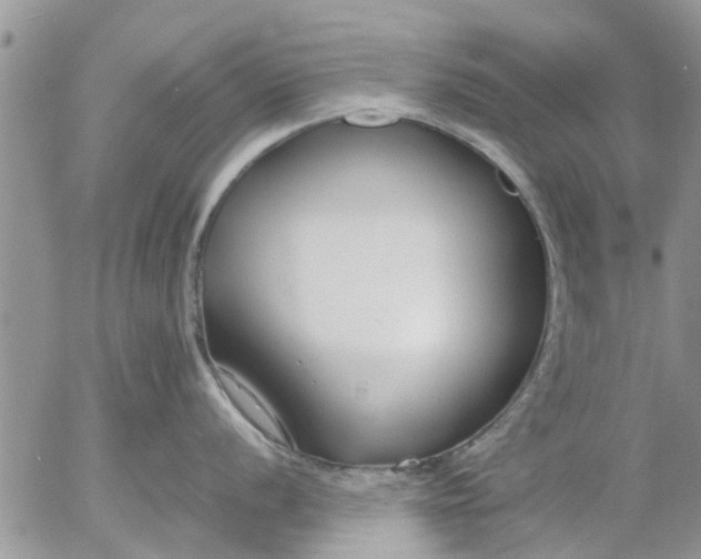 X0000053071056200508011935