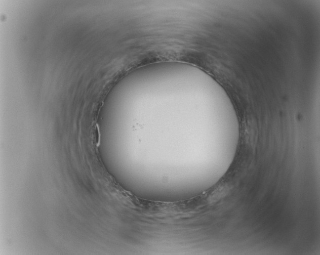 X0000053071057200508011934