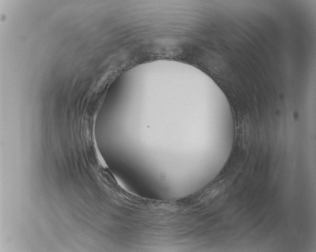 X0000053071058200508011934