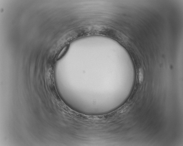 X0000053071059200508011934