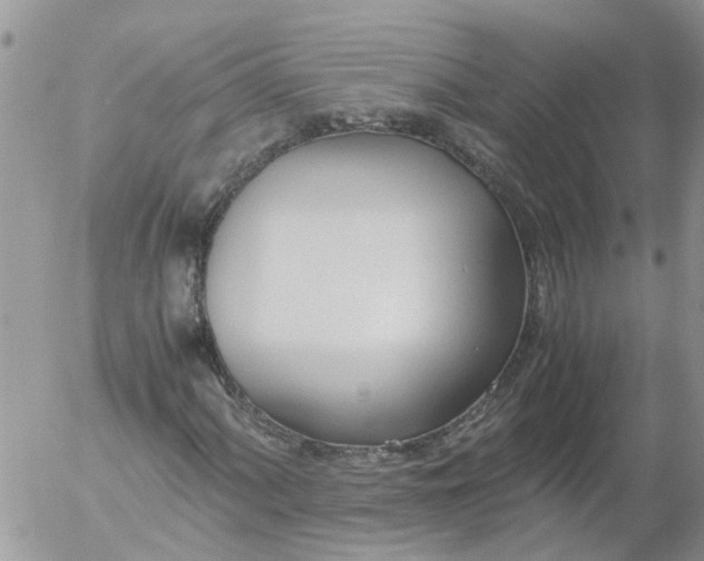 X0000053071060200508011934