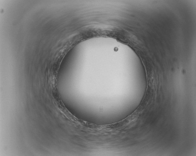 X0000053071061200508011934