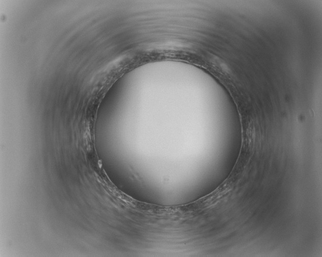 X0000053071062200508011934