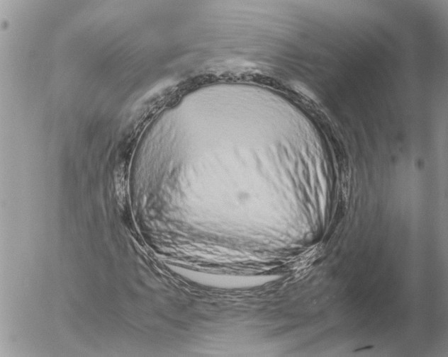 X0000053071063200508011934