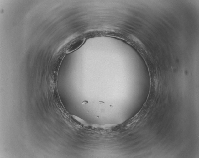 X0000053071064200508011934