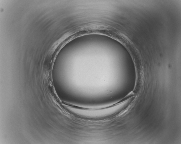 X0000053071065200508011934