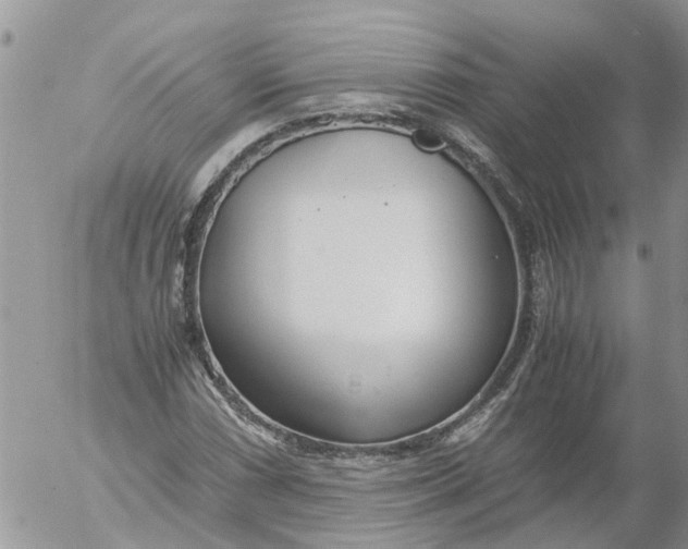 X0000053071066200508011934