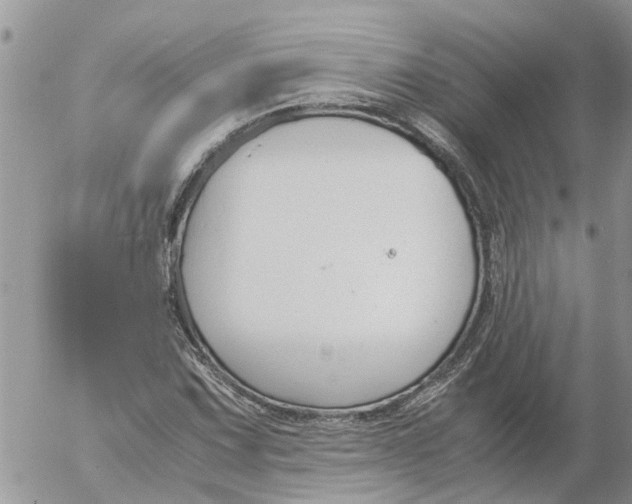 X0000053071067200508011934