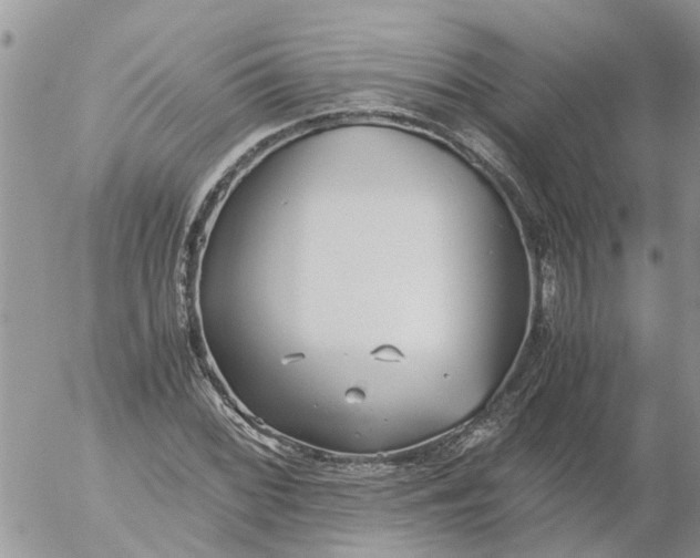 X0000053071068200508011934