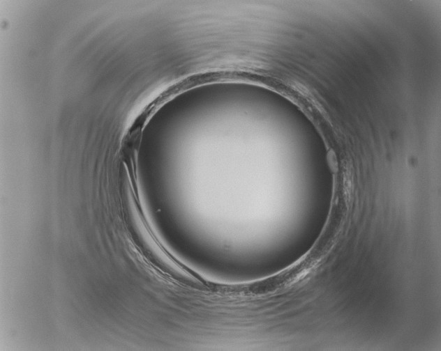 X0000053071069200508011934