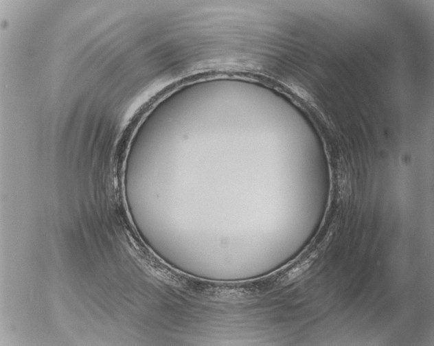 X0000053071070200508011934