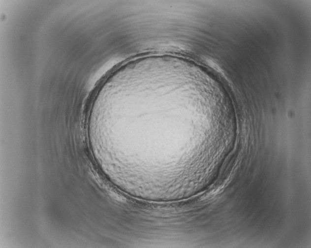 X0000053071071200508011934