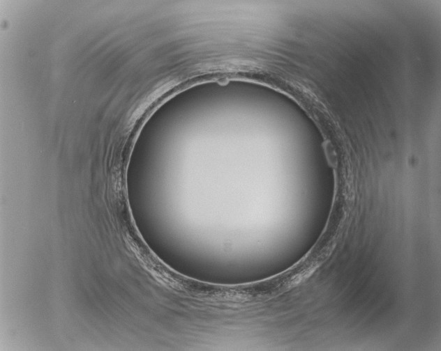 X0000053071073200508011934